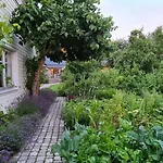 Dom wakacyjny House In The *