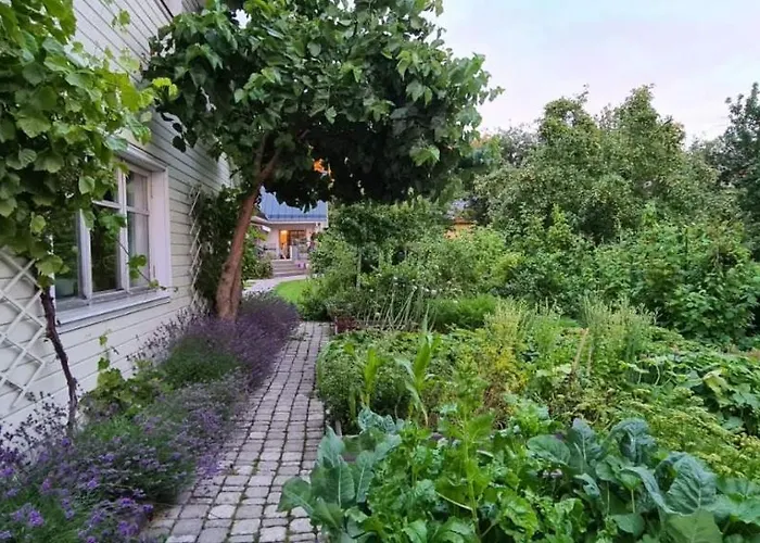 Tatil Evi House In The *