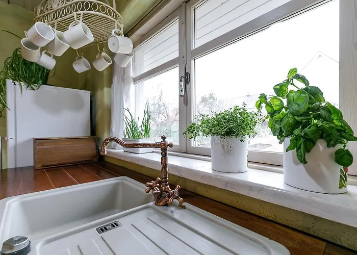 Tatil Evi House In The